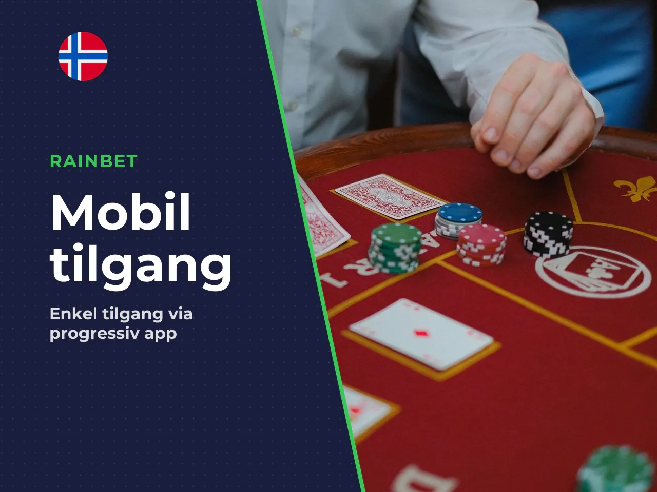 What the Rainbet app is and
